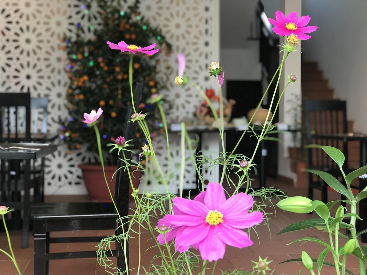 Vinci Villa Hoi An Esterno foto